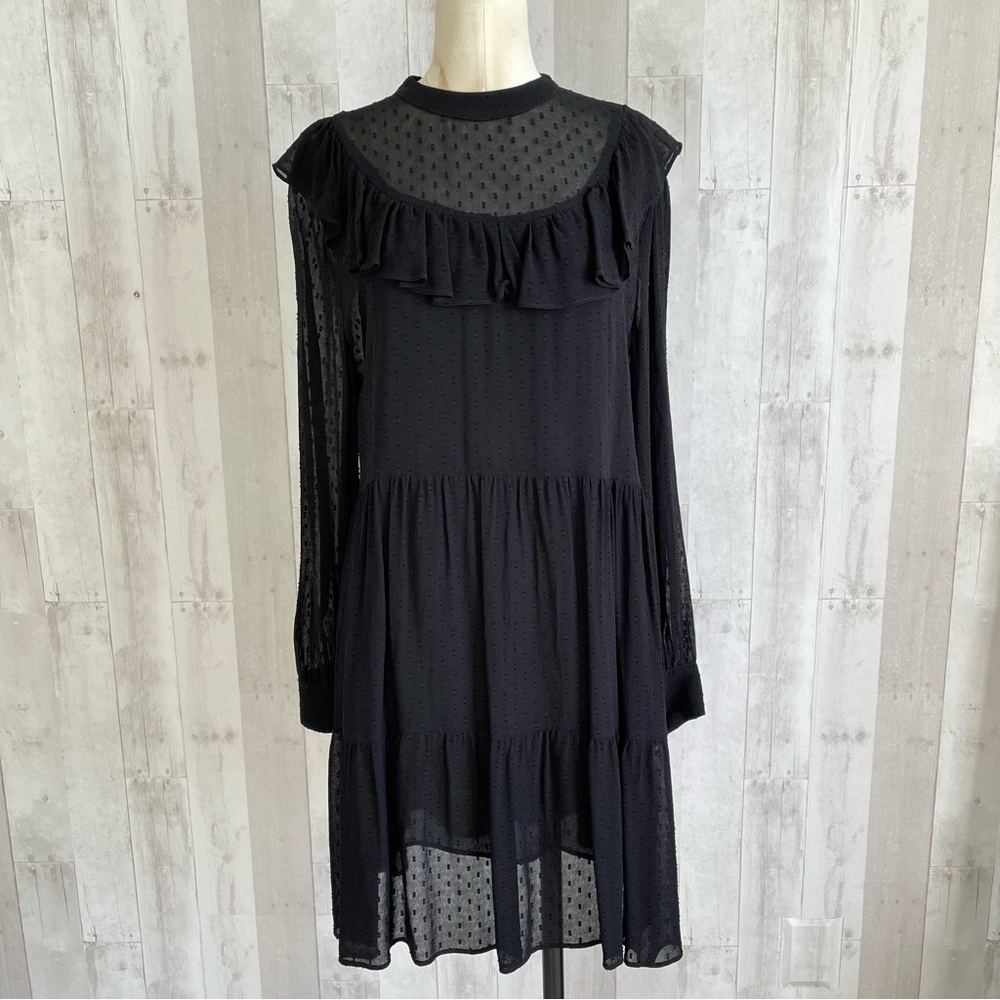 Zara Black Sheer Ruffle Dress